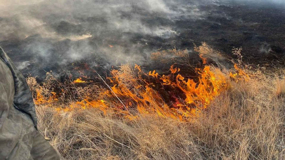 Ой хээрийн түймэр тавьсан хэргийг шүүхээр шийдвэрлүүлжээ